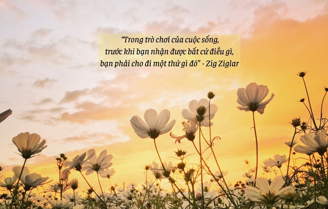 Quote hay về cuộc sống