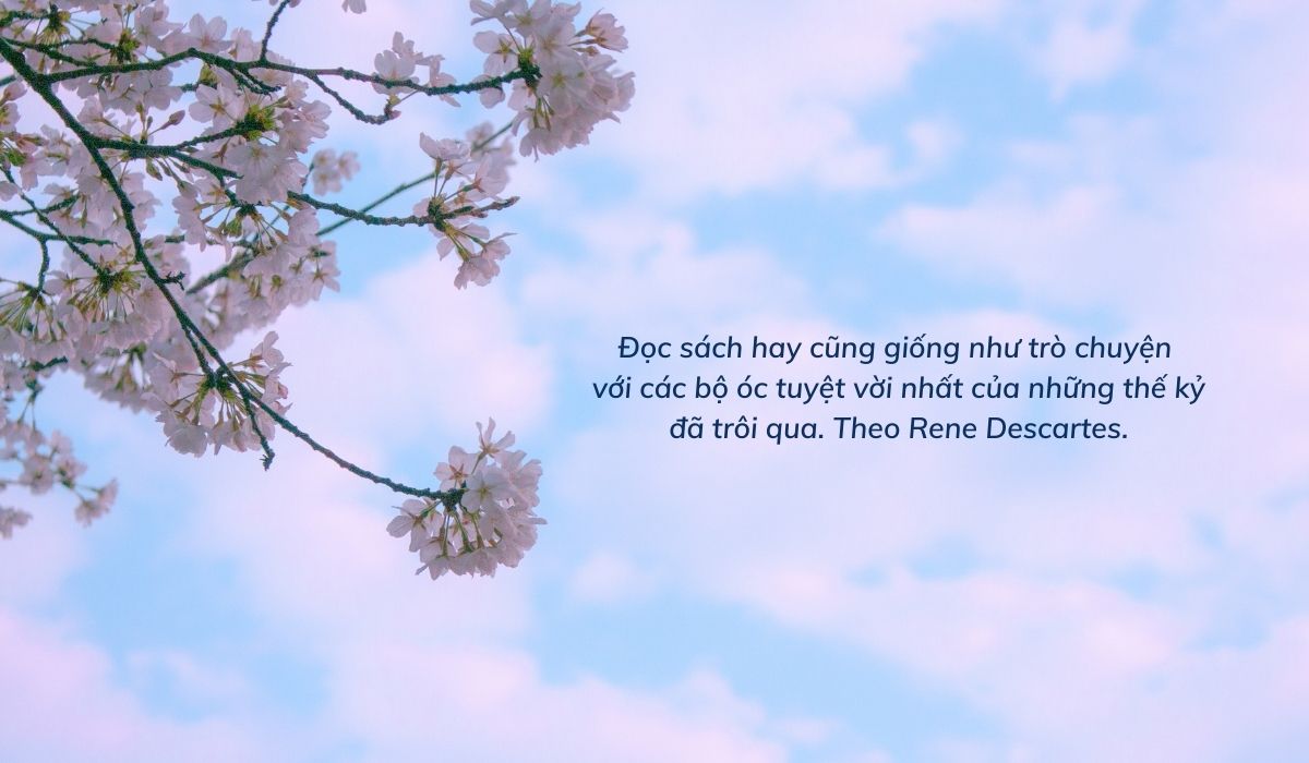 Quote hay về đọc sách